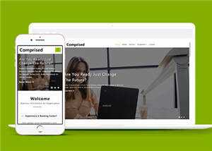 企业合作商务展示HTML网页模板下载 - 网创智汇