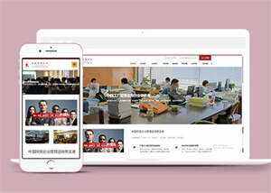 管理咨询培训机构类网站前端模板 - 网创智汇