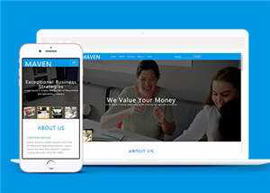 专业咨询服务展示HTML网页模板下载 - 网创智汇