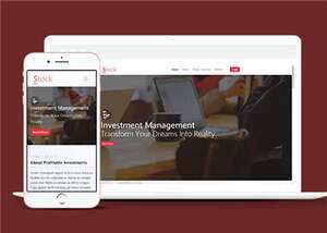 股票金融分析团队HTML网页模板下载 - 网创智汇