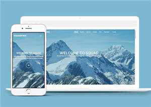 营销企业团队响应式网页模板 - 网创智汇