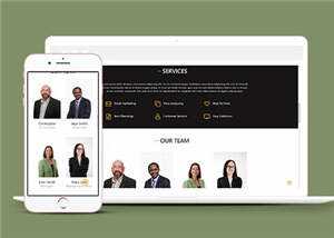 商业贸易服务展示HTML网页模板下载 - 网创智汇