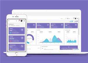 手机app运营数据统计后台模板下载 - 网创智汇