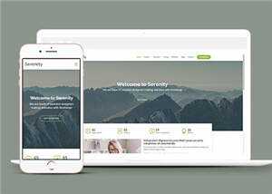 简约业务服务动态响应式网页模板 - 网创智汇