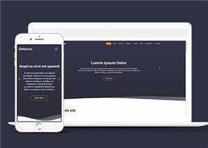 简约业务团队动态响应式网页模板 - 网创智汇