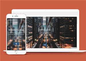 业务团队案例展示网页模板下载 - 网创智汇