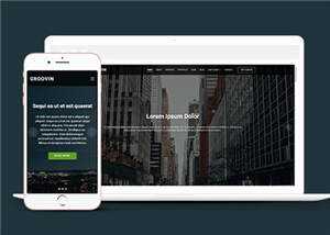 创意咨询代理公司响应式网页模板 - 网创智汇
