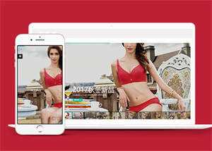 宽屏内衣服饰服装类网站前端模板 - 网创智汇