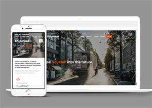 淘宝海外集运公司网站模板下载 - 网创智汇
