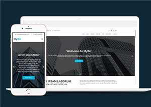 商务代理项目服务响应式网页模板 - 网创智汇