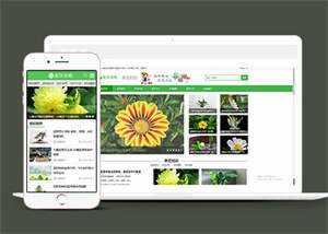 响应式花卉养殖资讯类前端模板 - 网创智汇
