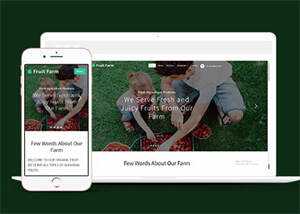 新鲜农产品类公司网站模板下载 - 网创智汇