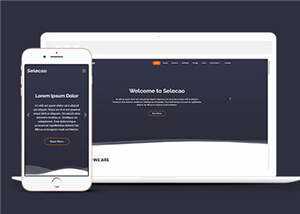 简约业务团队动态响应式网页模板下载 - 网创智汇