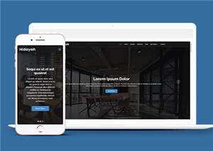 商业团队项目展示响应式网页模板 - 网创智汇