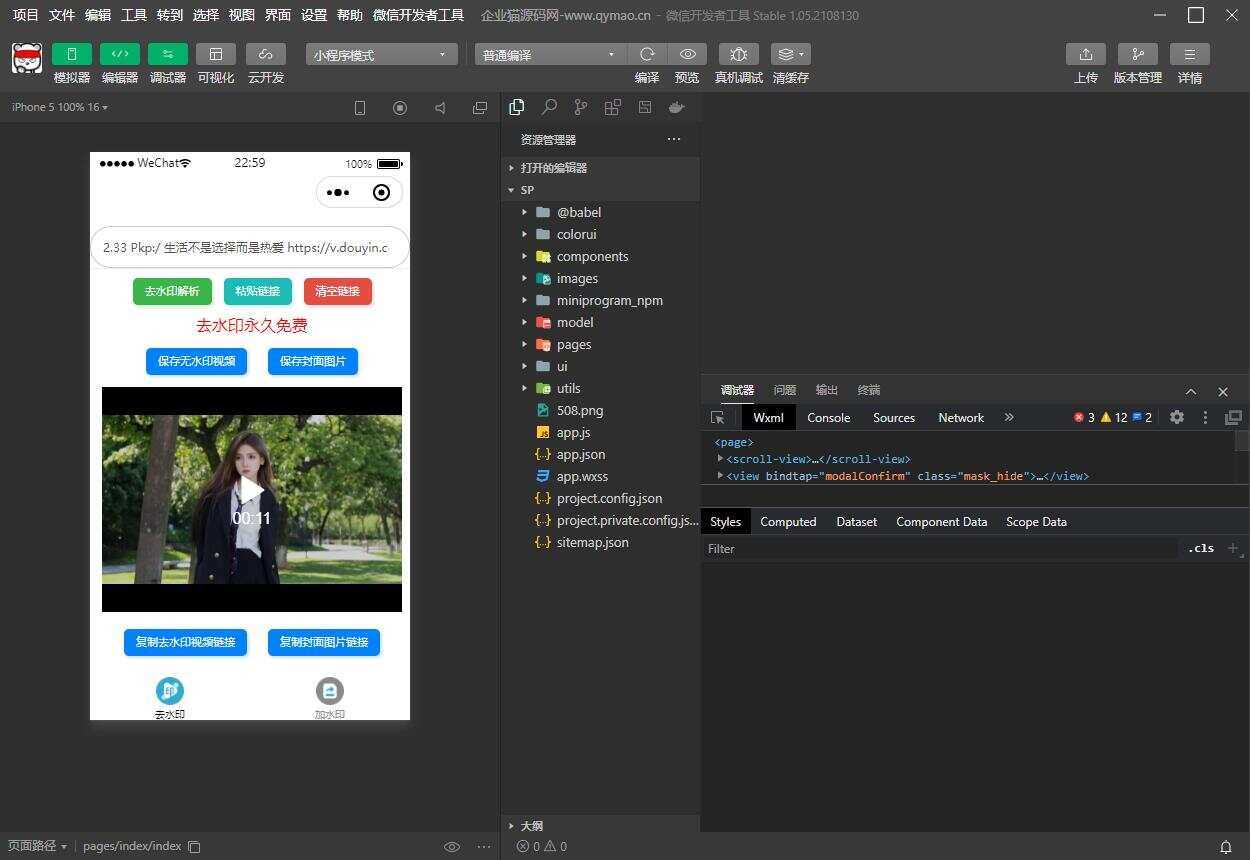 短视频去水印和图片加水印生成微信小程序源码 - 网创智汇