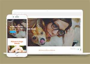 宠物美容服务公司网站模板源码 - 网创智汇