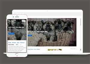 关于宠物狗销售网站模板下载 - 网创智汇