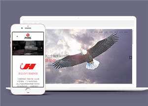 网络公司品牌推广公司网站前端模板下载 - 网创智汇