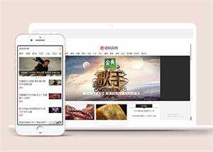 新闻资讯时尚杂志类网站模板源码 - 网创智汇