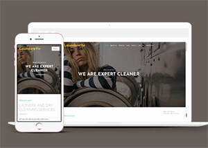 简洁服装洗涤清洗公司网站模板 - 网创智汇