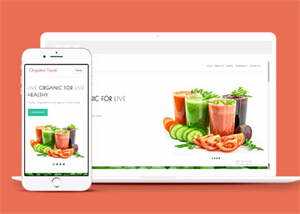 宽屏鲜榨果汁加盟店网站模板下载 - 网创智汇