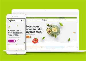 蔬菜水果商店网站响应式模板下载 - 网创智汇