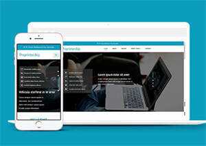 淘宝详情页制作响应式网站模板 - 网创智汇