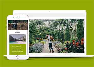 宽屏风景图片拍摄网站模板下载 - 网创智汇