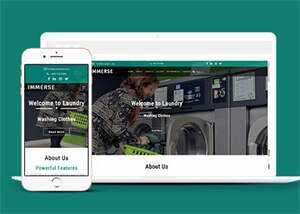 响应式滚筒洗衣机企业网站模板 - 网创智汇