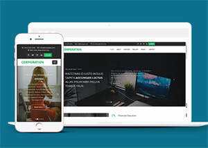 响应式财务管理公司网站模板 - 网创智汇