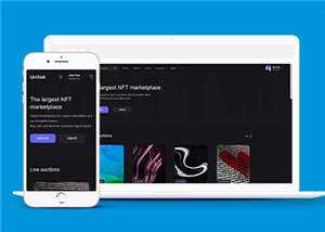 宽屏数字市场交易平台网站模板下载 - 网创智汇