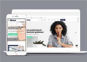 公司财务咨询网站模板下载 - 网创智汇