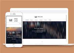 简约专业服务信息在线企业网页模板下载 - 网创智汇