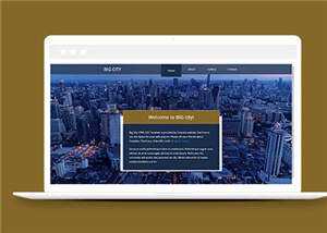 都市切换介绍企业网页源码模板 - 网创智汇