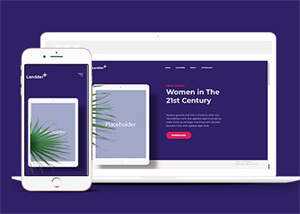 响应式电子书企业官网网站模板 - 网创智汇