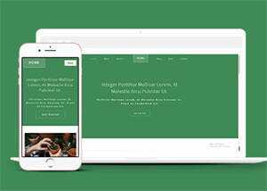 响应式多肉植物种植网站模板下载 - 网创智汇