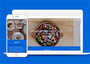 大气美食制作类网站模板下载 - 网创智汇