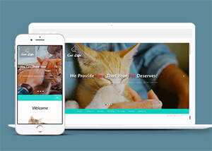 流浪动物领养中心网站模板 - 网创智汇