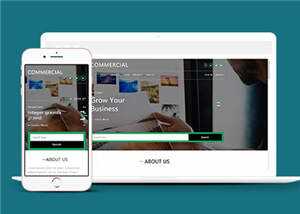 简洁商业贸易服务展示HTML网页模板下载 - 网创智汇