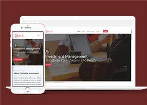 简洁股票金融分析团队HTML网页模板下载 - 网创智汇