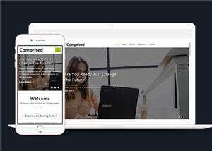 宽屏企业合作商务展示源码模板下载 - 网创智汇