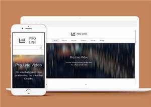 简洁专业服务信息在线响应式网页模板下载 - 网创智汇