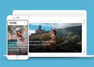 多用途的图文展示博客模板 - 网创智汇