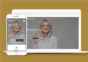 宽屏商业信贷服务公司响应式网站模板下载 - 网创智汇