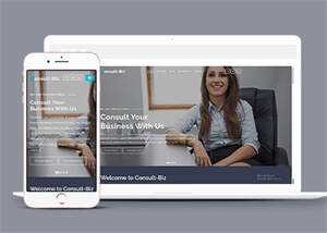 简洁专业投资顾问网站模板下载 - 网创智汇