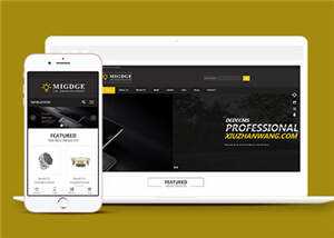 简洁响应式灯具公司前端模板下载 - 网创智汇