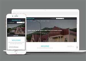 宽屏国外别墅展示类网站模板 - 网创智汇