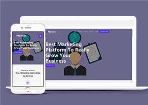 简约业务服务展示响应式网页模板下载 - 网创智汇