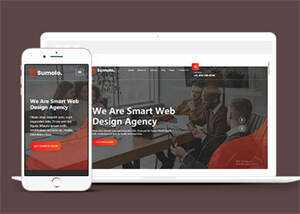 web软件应用开发公司网站模板 - 网创智汇