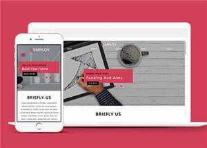 宽屏数据分析服务公司源码模板下载 - 网创智汇